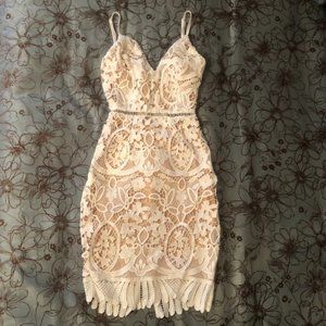 Hidden Garden Mini Dress